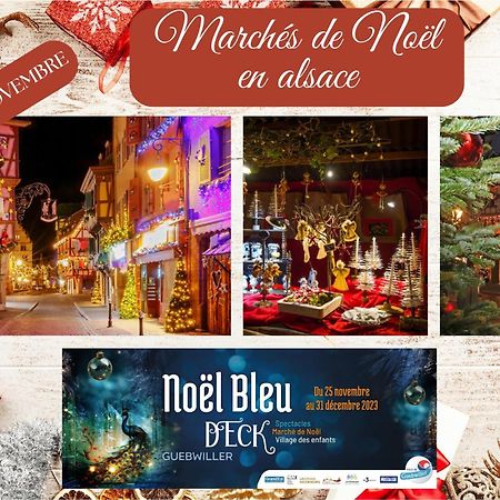 Chez Patisa - Business And Tourism - Rbnb Гебвиллер Экстерьер фото